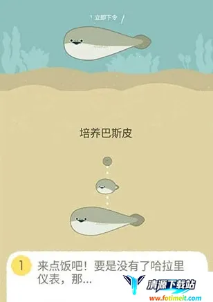 ������BasPi2025���ذ�װ