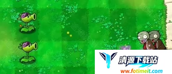 植物大战僵尸喵版2025下载安装 植物大战僵尸喵版2025下载安装