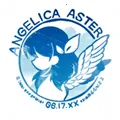 ANGELICA ASTER(����Ů������Ϸ)