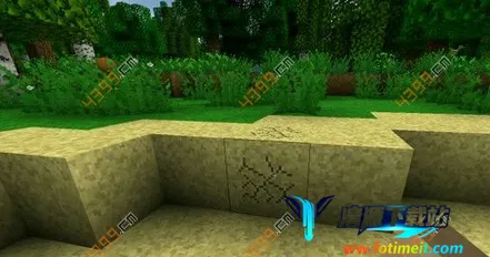 Survivalcraft 2.4�����ֻ���