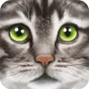 �ռ�è2025�ٷ����°汾