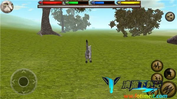 终极猫2025官方最新版本 终极猫2025官方最新版本