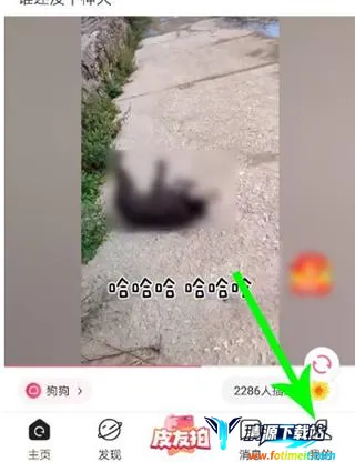 ƤƤ��Ц(��Ц��������)