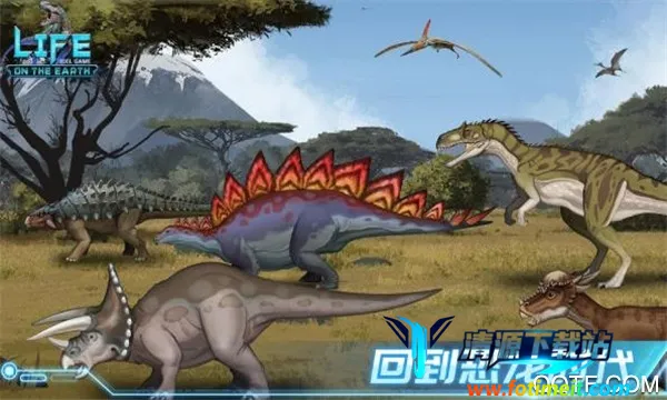 ������ʷ�����ֻ���