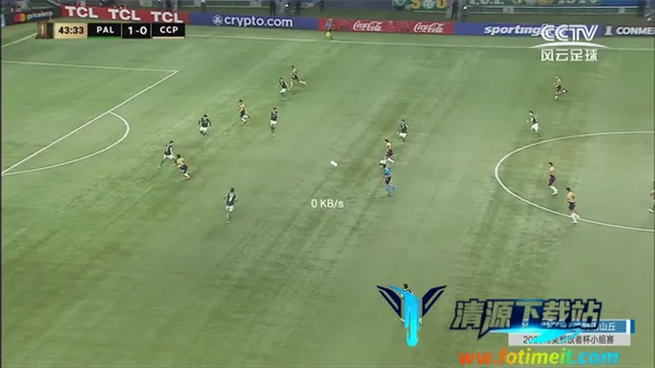 翠花影视(影视播放应用) 翠花影视(影视播放应用)