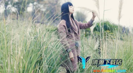 �����������ֻ���