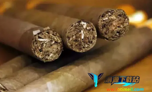 �̲�����ѧԺ2025�ٷ����°汾