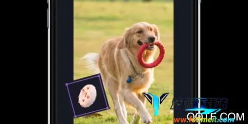 ����Ƶ���������ֻ���