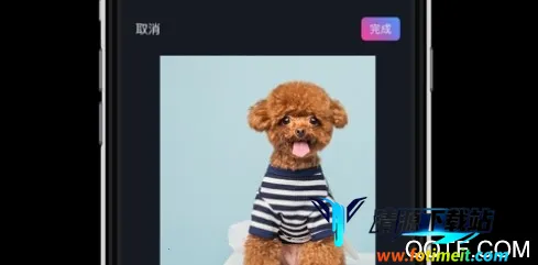 ����Ƶ���������ֻ���