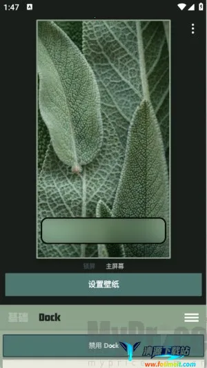 Dock��ֽ2025�ٷ�����