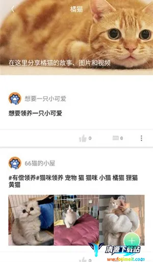 ��צ(�����罻ƽ̨)