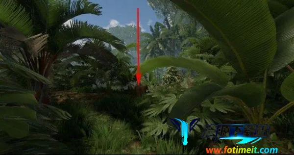 ��ɫ����2025���ذ�װ