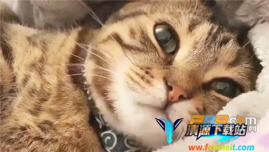 һ��ѧè��(���ｻ������)