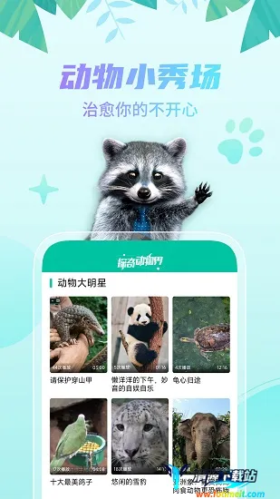 探奇动物界(动物互动平台) 探奇动物界(动物互动平台)