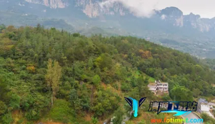 ���Ͻ�ʼ2025�ٷ�����