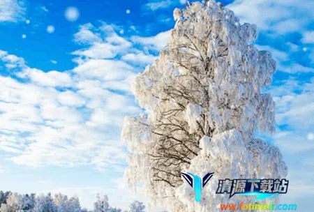 ������ֽ2025���°汾