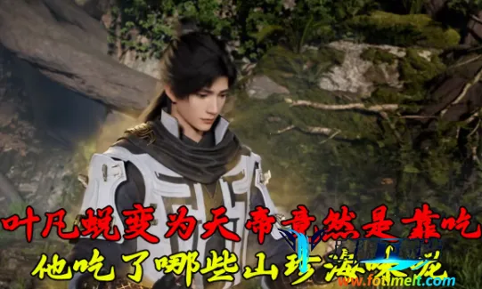 ��������2025�ٷ�����