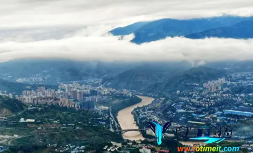 ��֦����(��֦������ƽ̨)