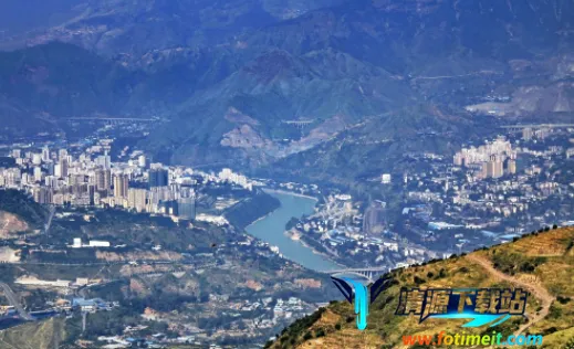 ��֦����(��֦������ƽ̨)