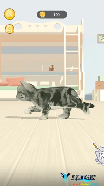 ����è��2025���ذ�װ