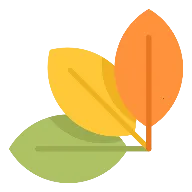 ������(ϰ�߼�¼����)