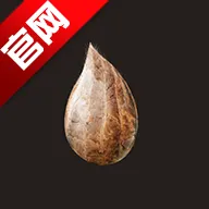 ����һ������2025�ٷ�����