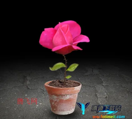 开局一颗种子2025官方正版 开局一颗种子2025官方正版