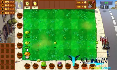 ֲ���ս��ʬ�������׿���ֻ���