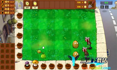 ֲ���ս��ʬ�������׿���ֻ���