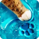 ��ѹ���Ĺ�(��ѹС��Ϸ)