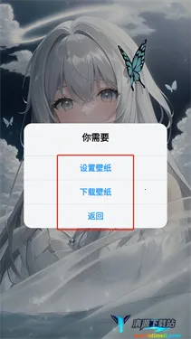 ��ֽ��(��ֽ��������)