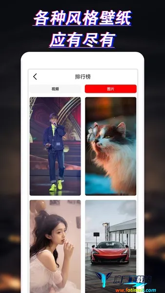 ������ֽ(��ֽ��������ȫ)