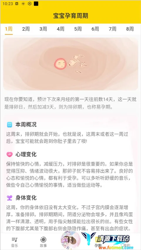 ̥�����ֺ�(̥����������)