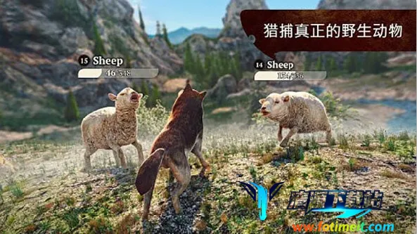 ����2026���ذ�װ