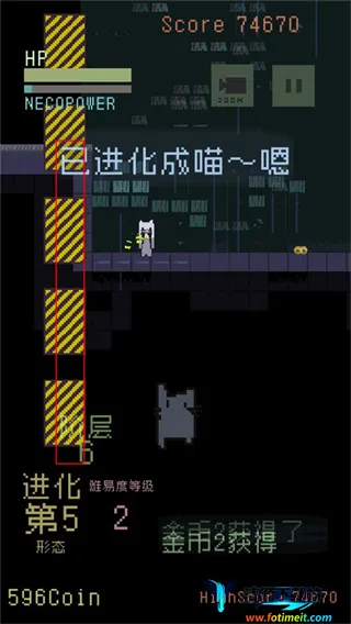 猫咪狂想曲2026最新版本 猫咪狂想曲2026最新版本