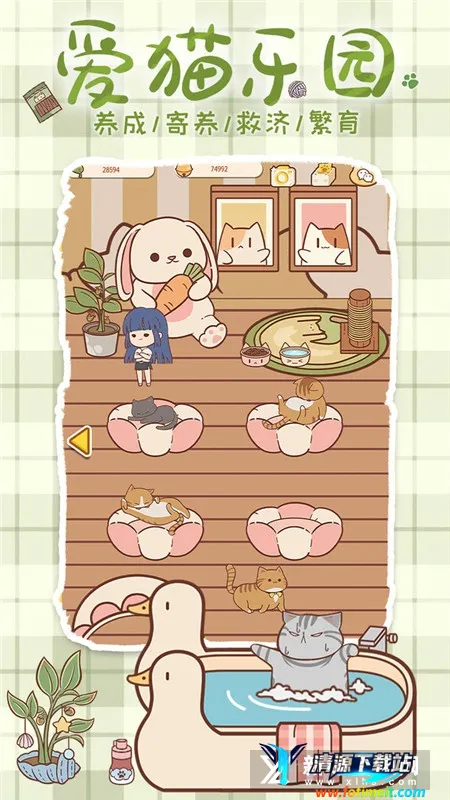 喵呜开门2026下载安装 喵呜开门2026下载安装