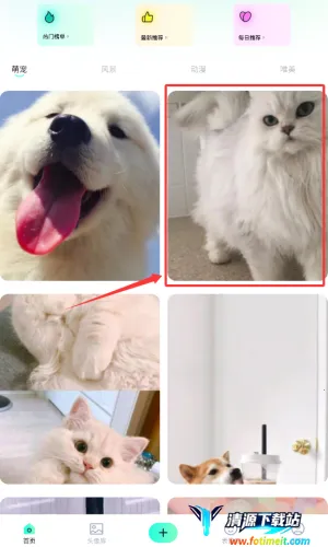 ���ӱ�ֽ�����ֻ���