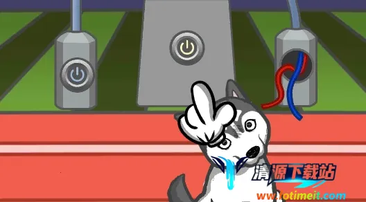 竟然养二哈 竟然养二哈