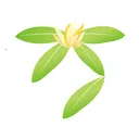 ����̨(�ֲ�ó�׹���)