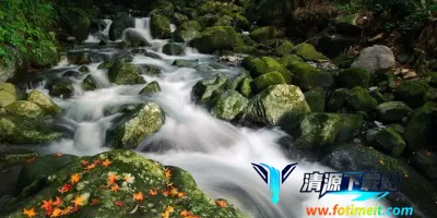 �����Ϫ2026�ٷ�����