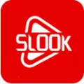 Slook