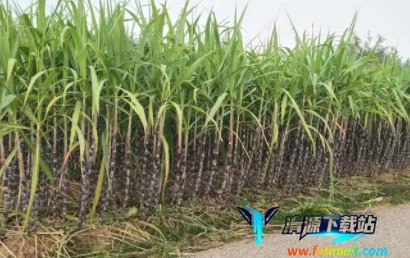 ����ũ��2026�ٷ�����