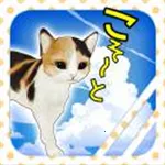 è�����Ѱ�׿���ֻ���