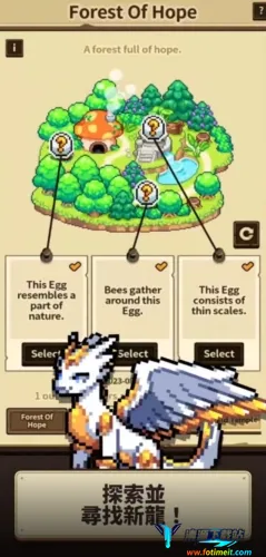 dragon village collection