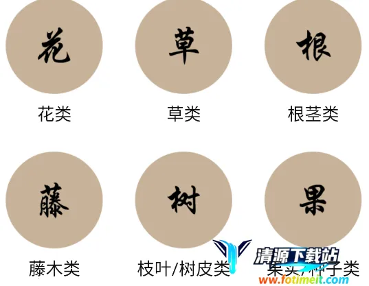 �в�ҩ����