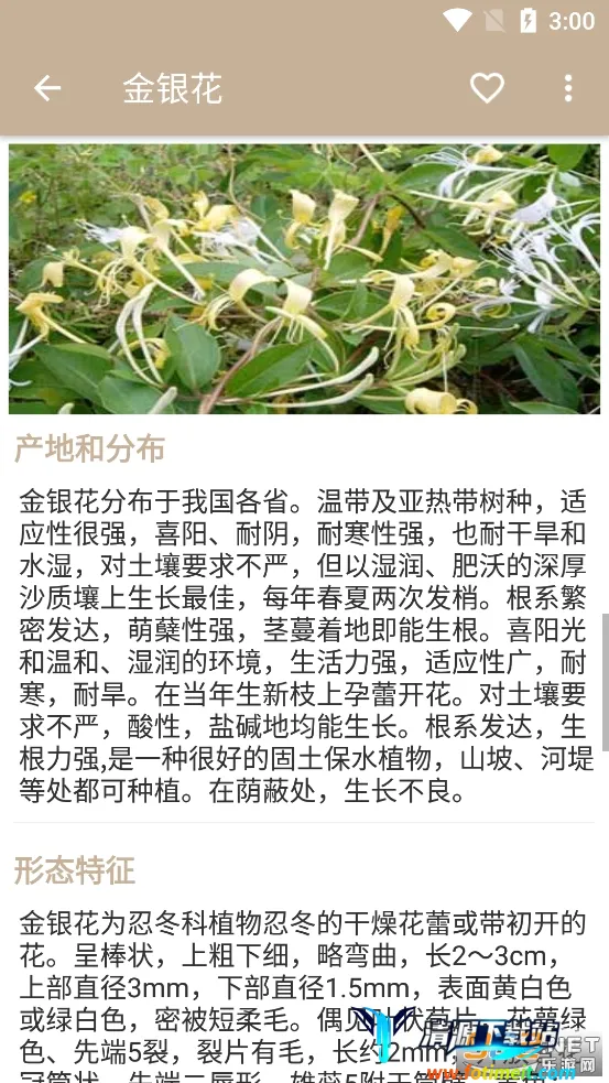 �в�ҩ����