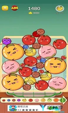 合并西瓜大作战最新手机版 合并西瓜大作战最新手机版