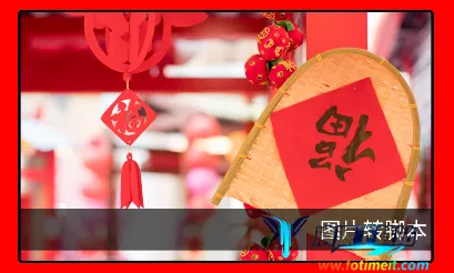 ���ݿǽű�����