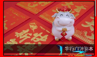 ���ݿǽű�����