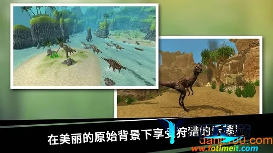 ����������2026�ٷ�����